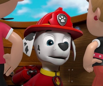 Replay Paw Patrol, la Pat'Patrouille - Eddie et Emmy se multiplient