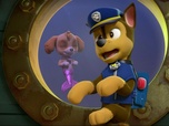 Replay Paw Patrol, la Pat'Patrouille - Les chiens-sirènes - 22'