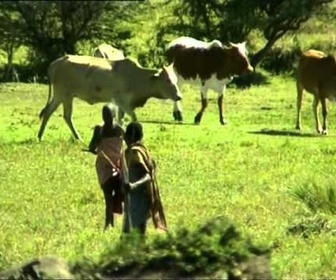 Replay Voyages ... - ... au Kenya