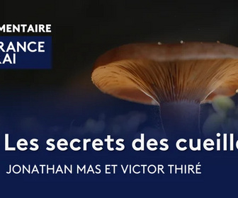 Replay La France en vrai - Occitanie