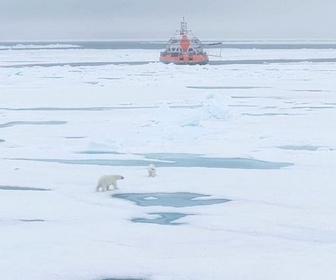 Replay ARTE Journal - L'expedition Tara en Arctique