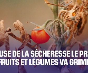 Replay BFM Climat - À cause de la sécheresse le prix des fruits et légumes va grimper