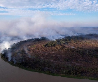 Replay Focus - Brésil : le Pantanal, sanctuaire de la biodiversité ravagé par des incendies records