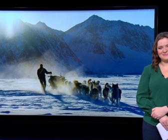 Replay Info ou intox - Le Groenland n'est-il défendu que par des chiens de traîneaux, comme l'affirme Trump ?