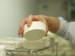 Replay Élément Terre - Le camembert, fromage emblématique en voie d'extinction