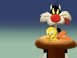 Replay Looney Tunes Cartoons - S1 E26 - Daffy avocat