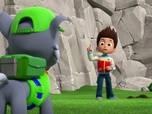 Replay Paw Patrol, la Pat'Patrouille - Drôles d'oiseaux
