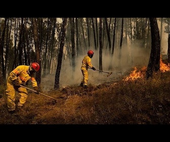Replay Portugal : les propriétaires sous pression avant la saison des feux