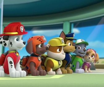 Replay Paw Patrol, la Pat'Patrouille - Un singe en liberté