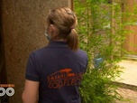 Replay Une saison au zoo - S14 E25