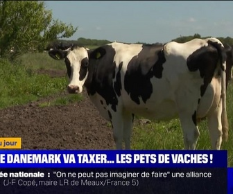 Replay L'image du jour : Le Danemark va taxer... les pets de vaches ! - 11/07