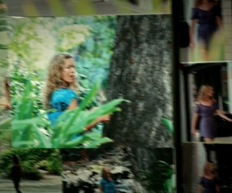 Replay Hawaii 5-0 - S2 E2 - Ua lawe wale