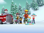 Replay Paw Patrol, la Pat'Patrouille - Danny et l'ours