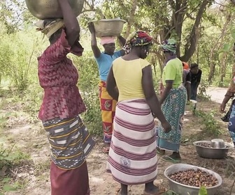 Replay Ces histoires qui nous inspirent - Kadoua et les cueilleuses de karité burkinabè