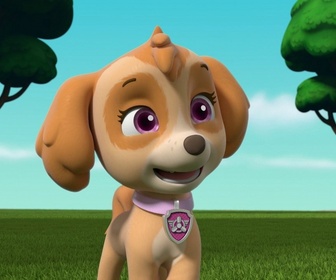 Replay Paw Patrol, la Pat'Patrouille - Super Chats : Un sauvetage acrobatique