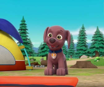 Replay Paw Patrol, la Pat'Patrouille - Pilotes de haut-vol