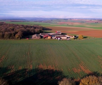 Replay Le goût du détail - Paté croute