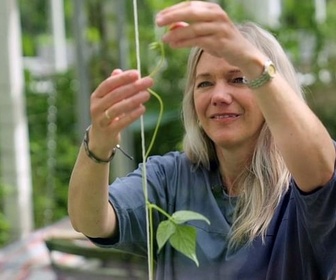 Replay Un peu de littérature... - Maja Lunde, l'écologie est un roman