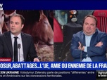 Replay Marschall Truchot : Mercosur, abattages... L'UE, amie ou ennemie de la France ? - 15/12
