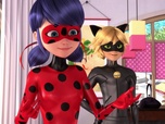 Replay Miraculous - Les aventures de Ladybug et Chat Noir - Chère famille