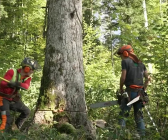Replay Le Mag de la santé - 03/02/2026