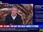 Replay BFM Grand Soir
