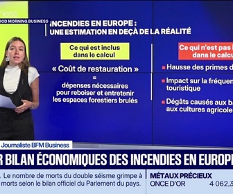 Replay Good Morning Business - Premier bilan économique des incendies en Europe