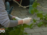 Replay Une saison au zoo - S13 E23