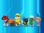 Replay Paw Patrol, la Pat'Patrouille - La Pat'Patrouille sauve un super-chien
