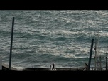 Replay Les alertes au tsunami progressivement levées dans le Pacifique