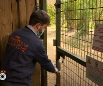 Replay Une saison au zoo - S13 E16
