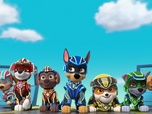 Replay Paw Patrol, la Pat'Patrouille - La Super Patrouille : Le cristal volé