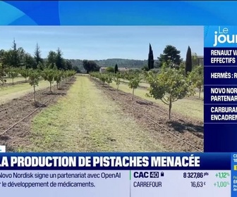 Replay Good Morning Business - Iran : la production de pistaches menacée