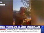 Replay News Box - Debbouze et un silure : la vidéo hallucinante - 02/05