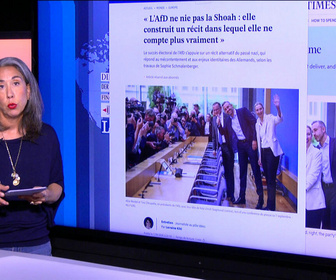 Replay Dans la presse - Le programme de l'AfD, un brun flippant
