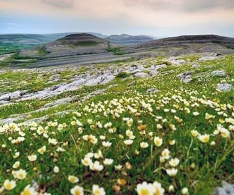 Replay L'île d'émeraude et le désert de pierres - Natura Europa
