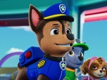 Replay Paw Patrol, la Pat'Patrouille - Le Capitaine Croustifrite