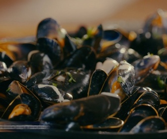 Replay Petits Plats en équilibre - Moules à la normande