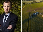 Replay Le cochon / La réintroduction de deux pesticides - 28 minutes