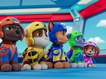 Replay Paw Patrol, la Pat'Patrouille - La Pat' Patrouille des Airs : L'aimant volant