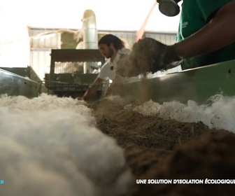 Replay Positive Outre-mer - Martinique : la bagasse de canne à sucre transformée en isolant écologique