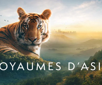 Replay Royaumes d'Asie