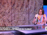 Replay Élément Terre, la quotidienne - Les cultures à l'épreuve d'un climat qui change