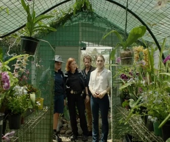 Replay Dr Harrow - S1 E7 - Secret de famille