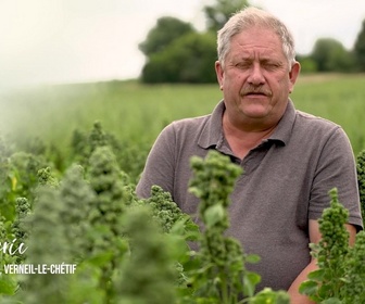Replay Le goût du détail - Quinoa