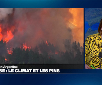 Replay Élément Terre, la quotidienne - Les causes environnementales des méga-feux en Argentine