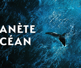Replay Planète océan