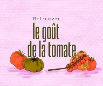 Replay On va déguster - 28/04/2026