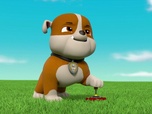 Replay Paw Patrol, la Pat'Patrouille - Mission Dino : Le ptérodactyle