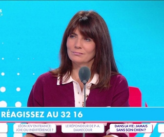 Replay Estelle Midi - Marché, bureau, plages : faut-il autoriser les chiens partout ?